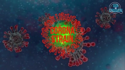 What Is a Coronavirus Strain? | Learn About New Variants 🦠