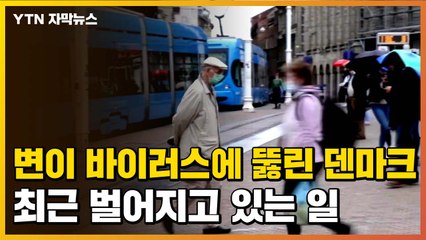 [자막뉴스] 변이 바이러스에 뚫린 덴마크, 최근 벌어지고 있는 일 / YTN