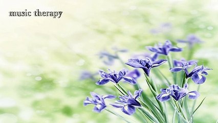 和む、憩い、癒し、深呼吸、のんびり、何もしない、ソルフェジオ周波数、楽曲