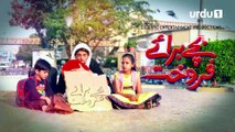 Bachay Baray e Farokht - Episode 16 | Urdu 1 Dramas | Mariam Ansari, Humaira Ali