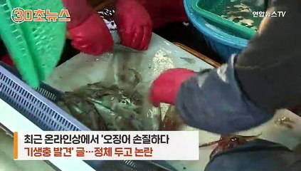 [30초뉴스] 오징어에서 기생충이?!…정체는 정자 덩어리