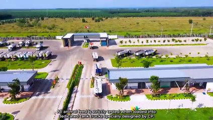 Vietnam has Southeast Asia's largest chicken export complex for the first time