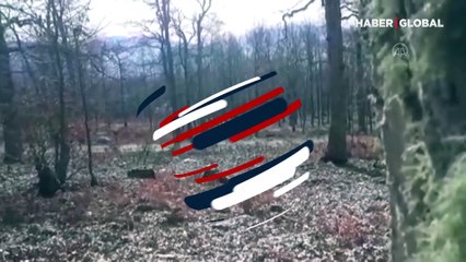 Amanoslar'daki terör sığınağı imha edildi