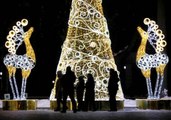 Isère : des rennes de Noël décapités en plein centre-ville