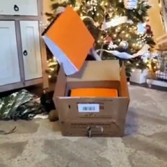 Une jeune aveugle reçoit le livre d'Harry Potter en braille, son meilleur cadeau de Noël