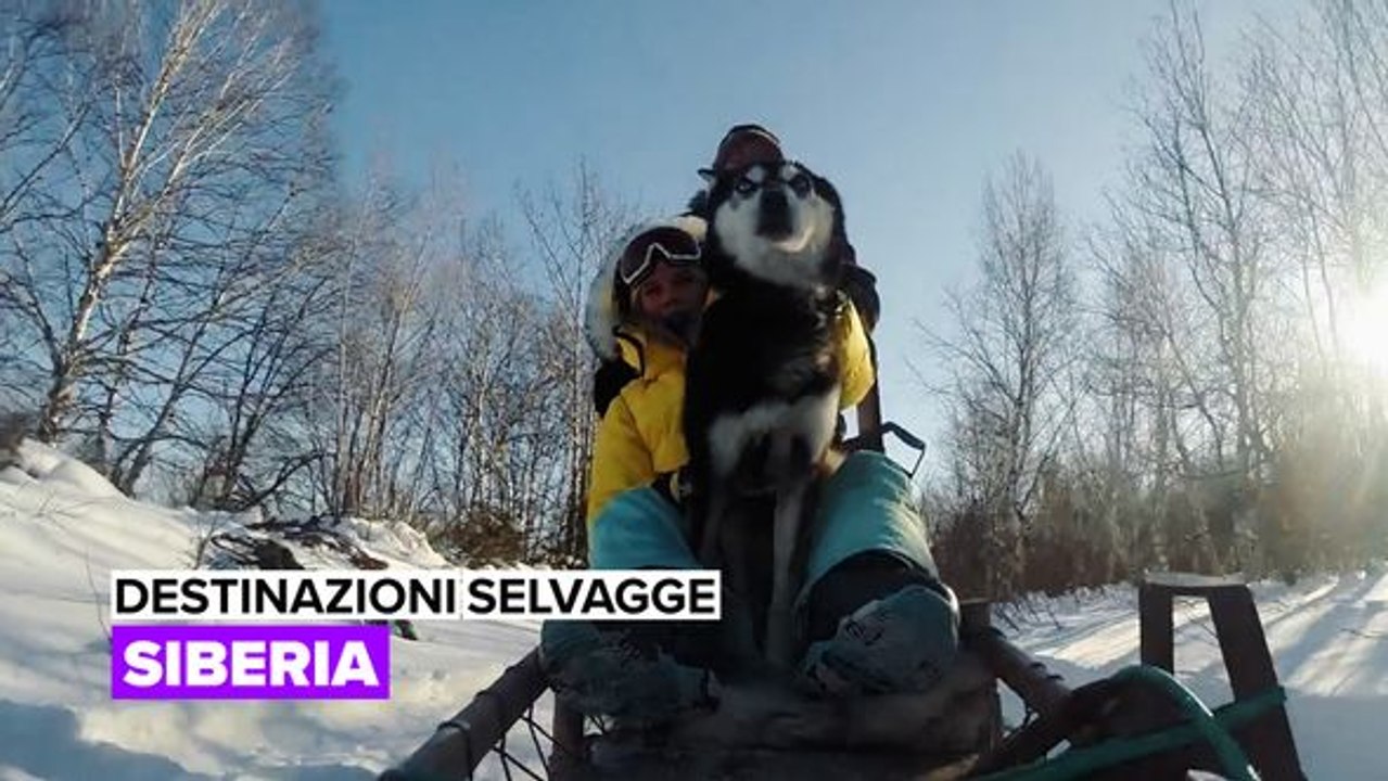 Destinazioni selvagge: Siberia