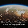 ألم تعلم أن الله على كل شيء قدير - القارئ ياسر الدوسري