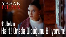 Halit orada olduğunu biliyorum - Yasak Elma 91. Bölüm