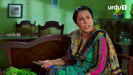 Paimanay - Episode 12 | Urdu1 Drama | Fatima Effandi, Eshal Fayyaz, Asad Siddiqui