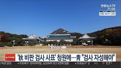 '秋 비판 검사 사표' 청원에…靑 "검사 자성해야"