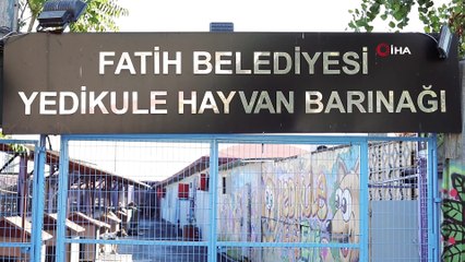 - Emine Erdoğan, Cumhurbaşkanı Erdoğan'ı “Leblebi” ile birlikte uğurladı