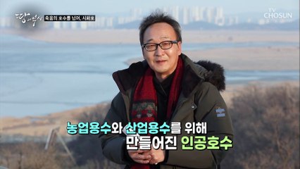죽음의 땅에서 생명의 터전 습지로 변한 ‘시화호’