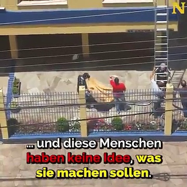 Rettungsaktion