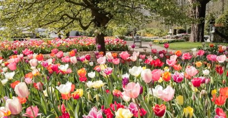 Los Libros: Recuerdos de un jardinero inglés
