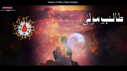 Best Motivational Sufi Quotes On Seeker of Allah | Sultan ul Ashiqeen Quotes