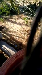 जमने लगा पानी, ठहर गई ओस की बूंदे, बाड़मेर ञ्च 7.1 डिग्री