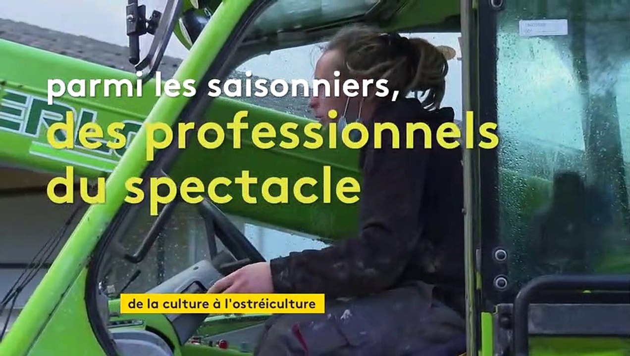 De la culture à l’ostréiculture, quand des intermittents du spectacle viennent prêter main forte dans les parcs à huîtres