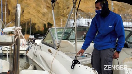 Vets Treat Injured Seal with Antibiotics Fired from a Blowgun (Oceanografic Valencia:Newsflash)