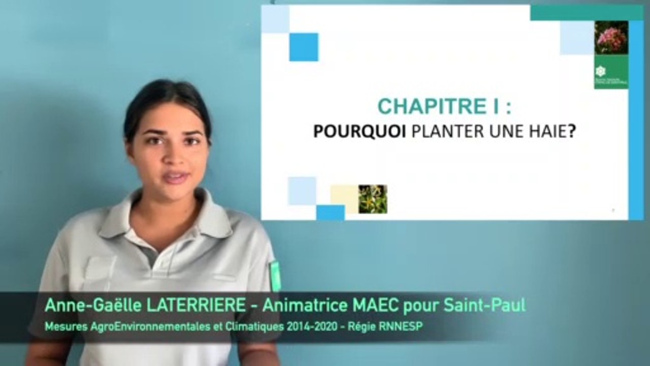 Partie 1 : Conception de haies utiles en agriculture (MAEC Saint-Paul, La Réunion)