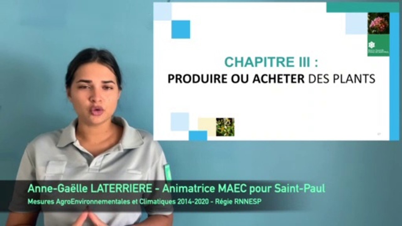 Partie 3 : Conception de haies utiles en agriculture (MAEC Saint-Paul, La Réunion)