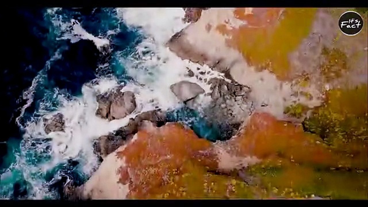 Fevi Kwik को खाने से क्या होगा_ _ What If Eat Fevi Kwik_ _ Most Amazing Facts _ Random Facts .