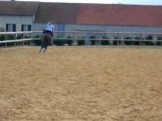 new galop