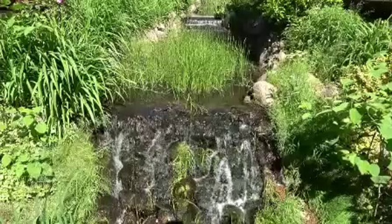 Relaxing Music free street  vlm2