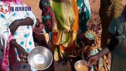 Tchad : cris de détresse de villageois face à la pénurie d'eau