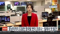 중남미까지 도달한 영국발 변이 코로나…칠레서 첫 발견