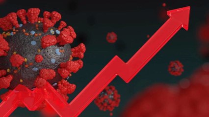 Covid-19 : une variante du virus découverte