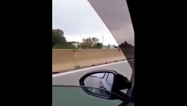 Puglia: anziano contromano sulla Statale Brindisi-Taranto, patente ritirata