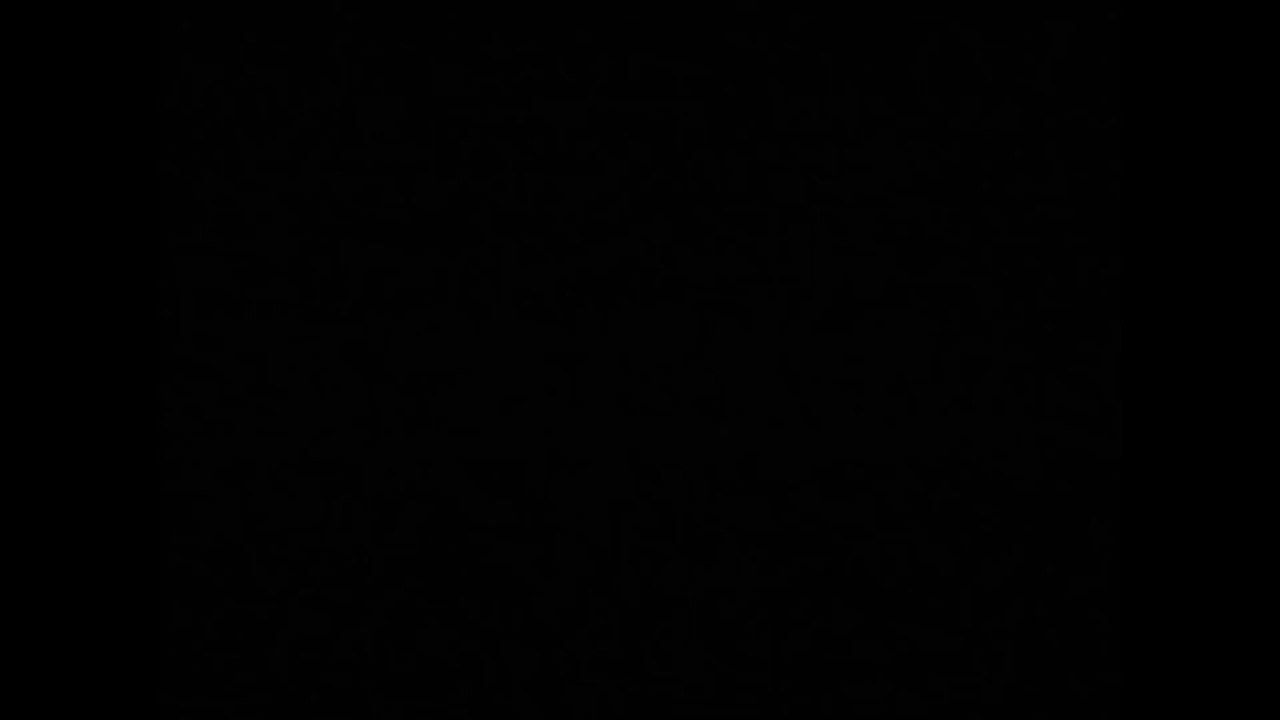 Der kleine Maulwurf feiert Weihnachten .Zdenek Miler