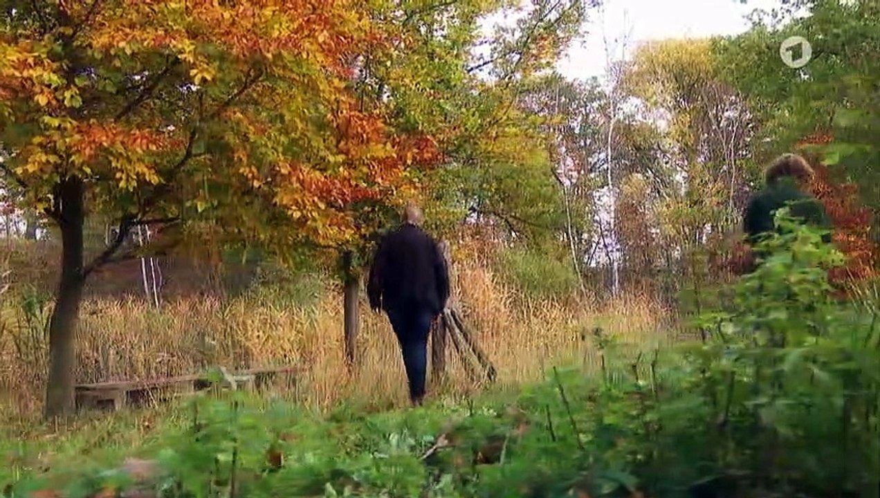 Rote Rosen :  Folge 3252: Konservative Heilung