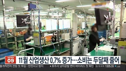 11월 산업생산 0.7% 증가…소비는 두달째 줄어