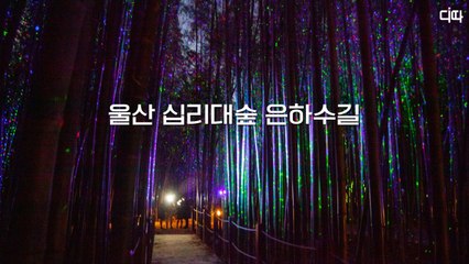 랜선여행 울산 태화강 십리대숲 은하수길(Korea Online Tour, Milky way in Bamboo forest, Ulsan) / 디따