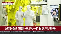 11월 산업생산 0.7% 증가…소비는 두달째 감소