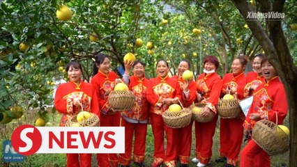 U.S. professor witnesses poverty-relief achievements in rural China