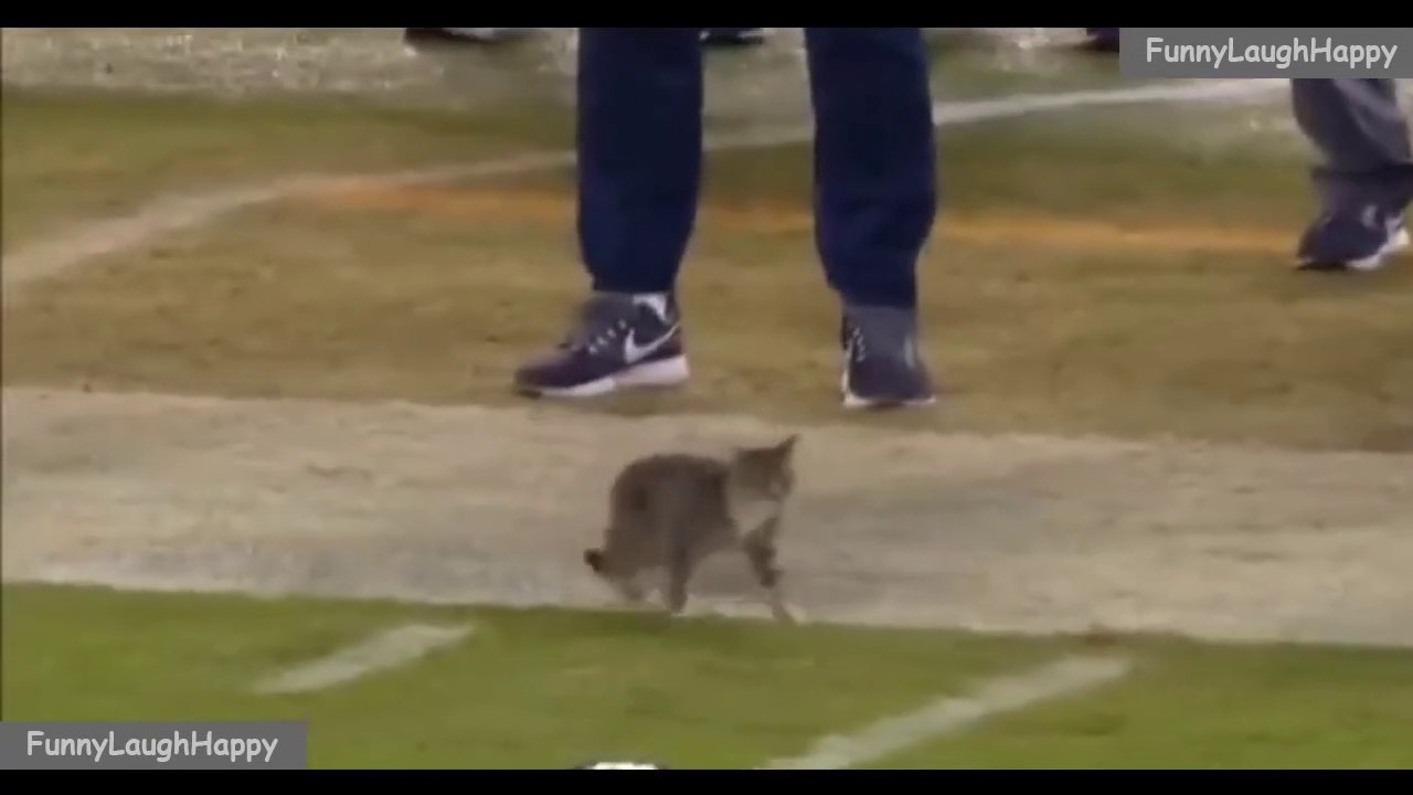 Humorous NFL football clips moments of 2020 1.2