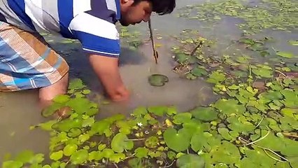 A modern method of fishing in rural areas..আধুনিক পদ্ধতিতে গ্রামীন এলাকায় মাছ ধরা