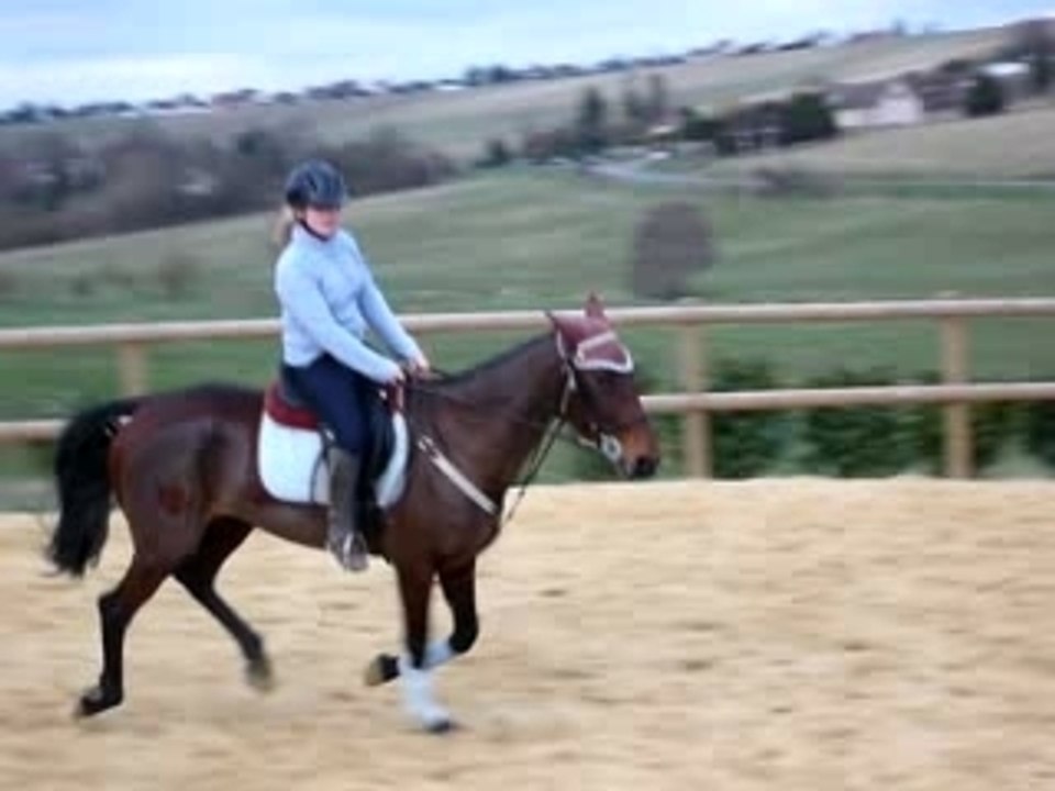 New au galop