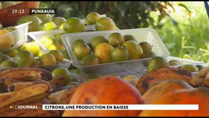 Citrons, une production en baisse