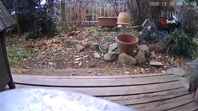 - Japonya 5.1 Şiddetinde Depremle Sarsıldı