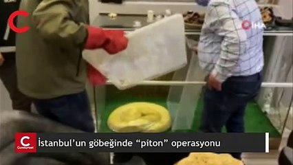 İstanbul’un göbeğinde “piton” operasyonu kamerada