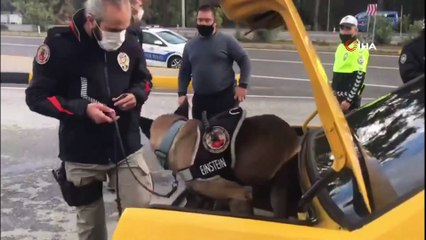 - Yılbaşı öncesi Marmaris’e ve Datça'ya giriş yapan tüm araçlar denetleniyor