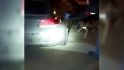 Muğla'da uyuşturucu operasyonu: 5 gözaltı