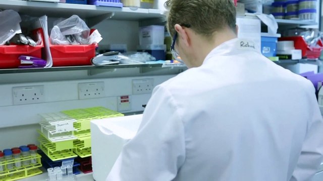 Il Regno Unito approva il vaccino Oxford - AstraZeneca