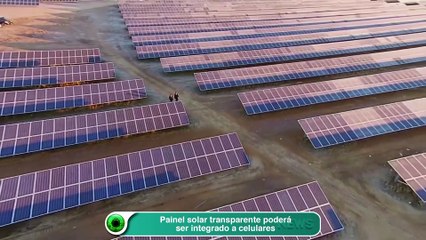 Painel solar transparente poderá ser integrado a celulares