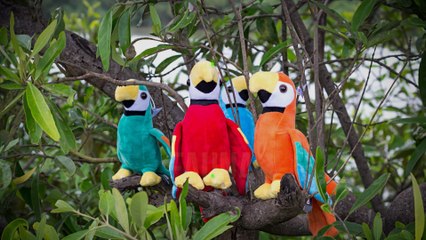 7est-emprendimineto-fauna-cr-070121