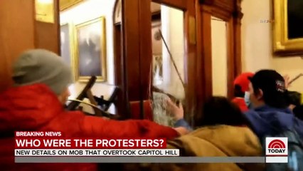 MONDELLO ON US CAPITOL HILL INSURRECTION