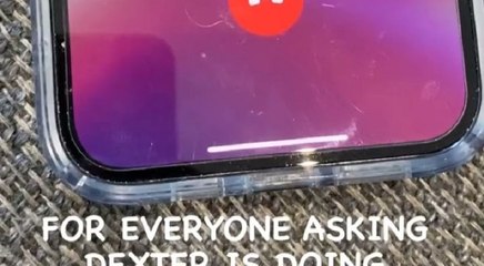 Rich The Kid shares phone call with Famous Dex, from rehab, and says that Dexter is doing great